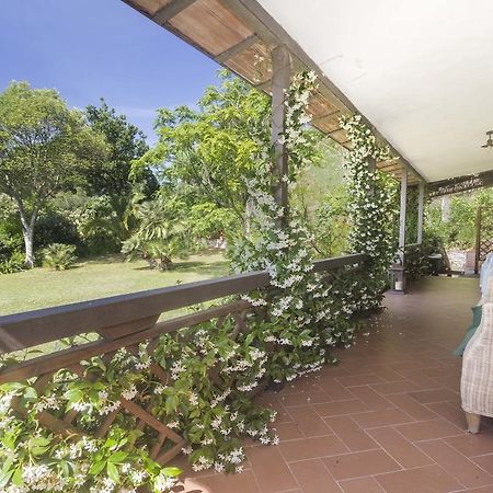 Villa Monserrato - Goelba Porto Azzurro Eksteriør billede