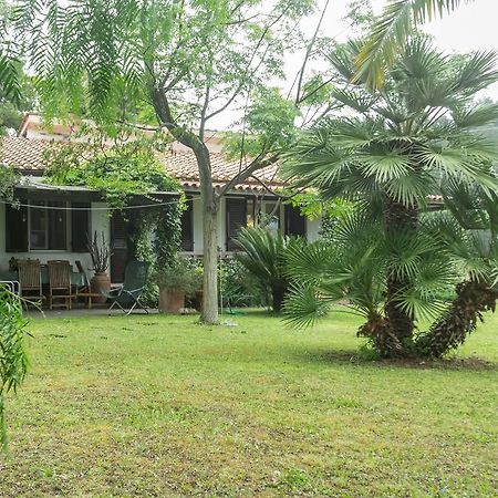 Villa Monserrato - Goelba Porto Azzurro Eksteriør billede