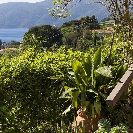 Villa Monserrato - Goelba Porto Azzurro Eksteriør billede